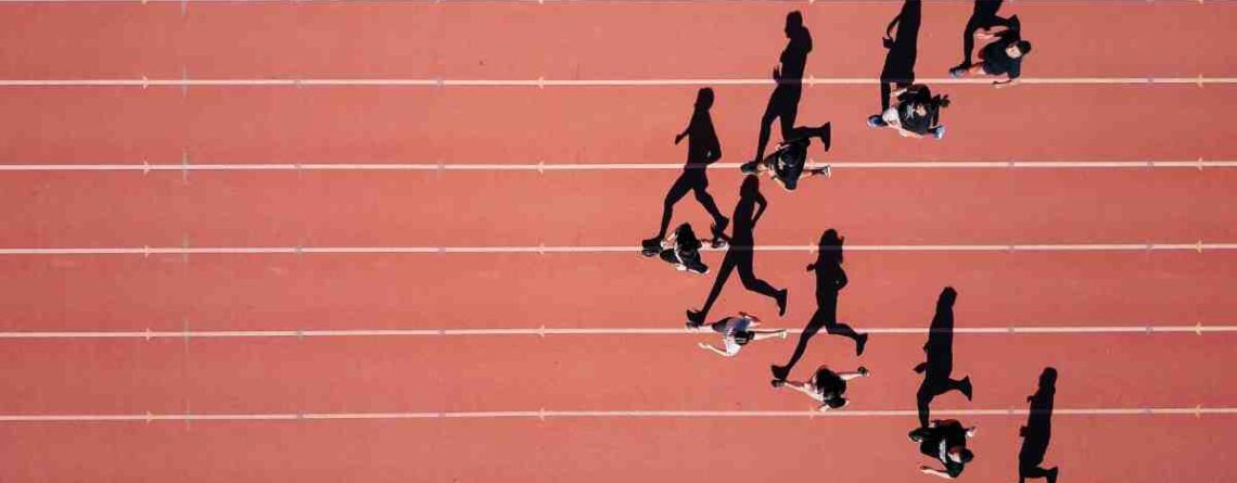 masterstudy_placeholder